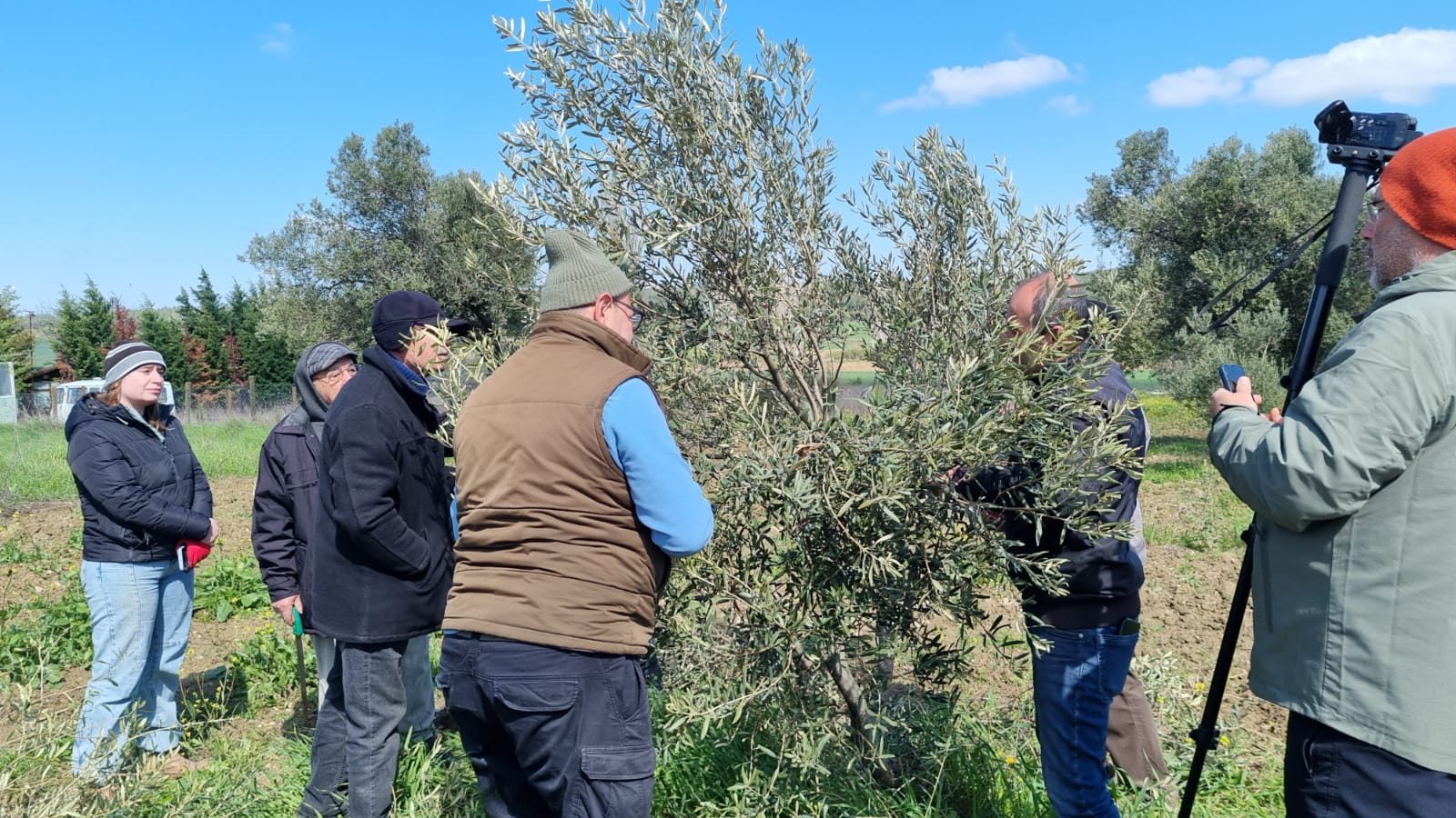 Uygulamalı Zeytin Budama Eğitimi ve Sertifika Töreni